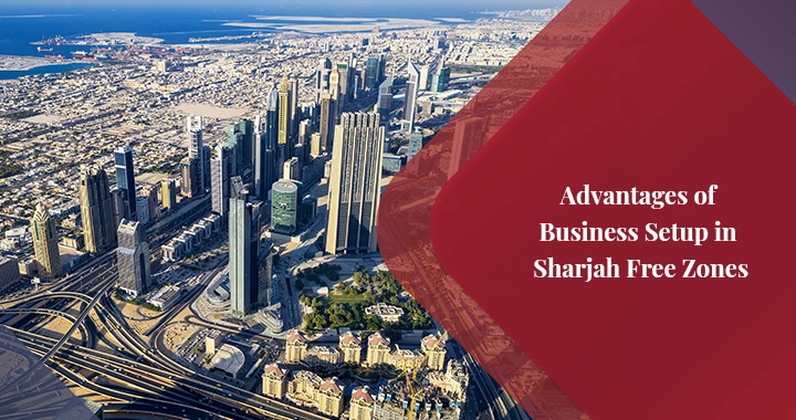 Advantages of Business Setup in Sharjah Free Zones