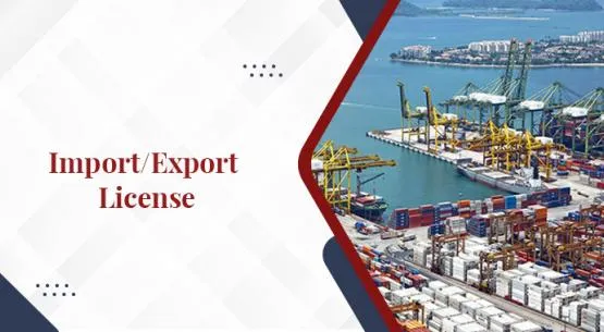 Import Export License in Dubai