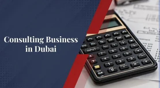 Start an Accounting, Audit or Tax consulting business