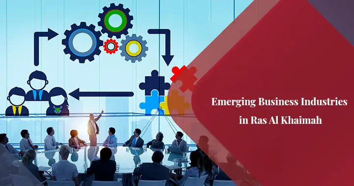Top Business Industries in RAK