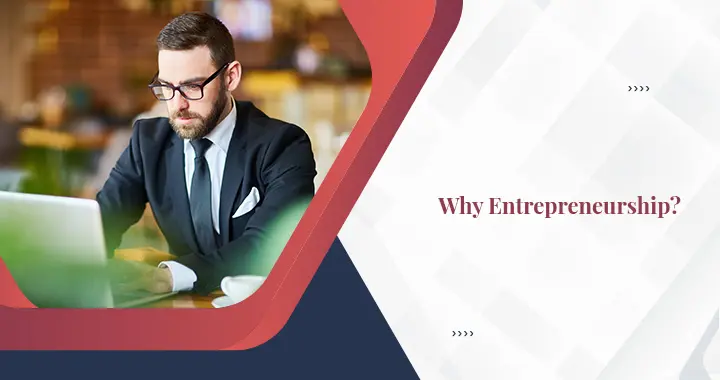 Why Entrepreneurship?