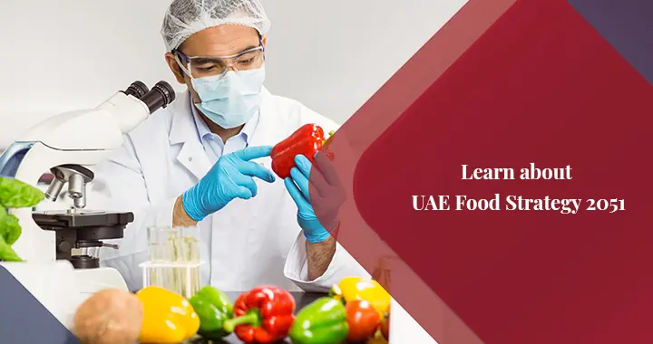 National Food Security Strategy 2051