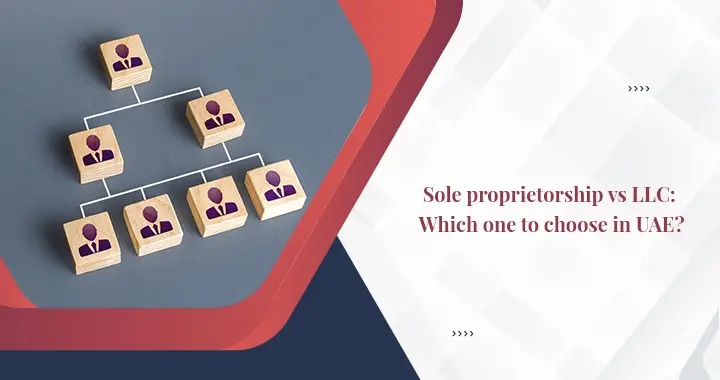 Sole Proprietorship vs LLC: Which One to Choose in UAE?