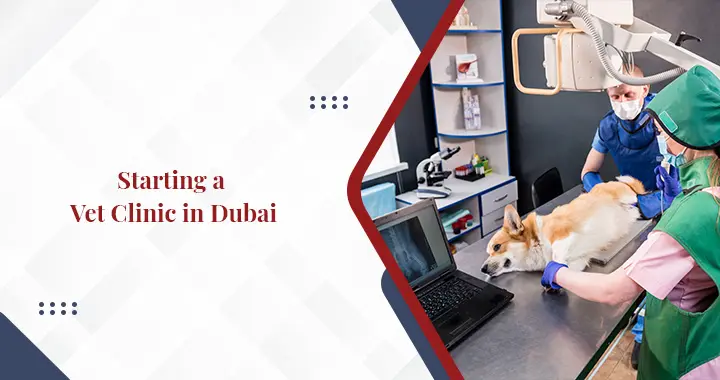 How to Start a Veterinary Clinic in Dubai?