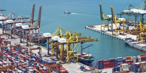 Import Export Business License in Dubai