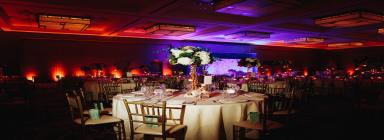 Incorporation of Event Management Company in the UAE 