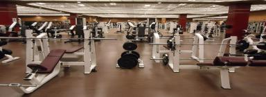 Start a Gym in Dubai