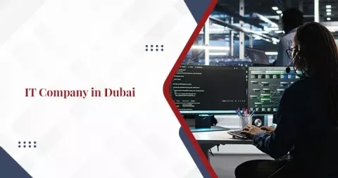 How to Start an IT Company in Dubai?