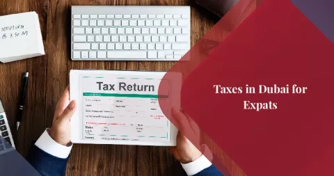 Taxes in Dubai for Expats: What to Know Before Moving?