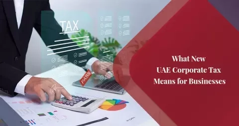 What the New UAE Corporate Tax Law Means for Startups and Entrepreneurs?