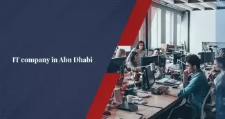 what-are-the-reasons-to-start-an-it-company-in-abu-dhabi