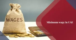 Minimum Wage in UAE 2026: What Employees and Employers Need to Know Minimum Wage in UAE 2026: What Employees and Employers Need to Know