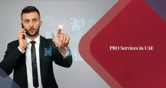 Guide to PRO Services in UAE