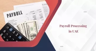 All You Must Know About Payroll Process in UAE