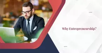 Why Entrepreneurship?
