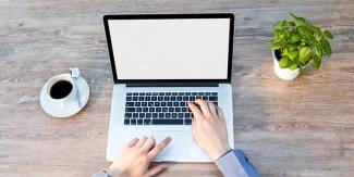 Different Freelancing Options Available in the UAE