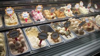 Set Up Your Ice-Cream Shop In Dubai ice cream shop in dubai