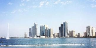 What Types of UAE Companies Can you Start? What Types of UAE Companies Can you Start?